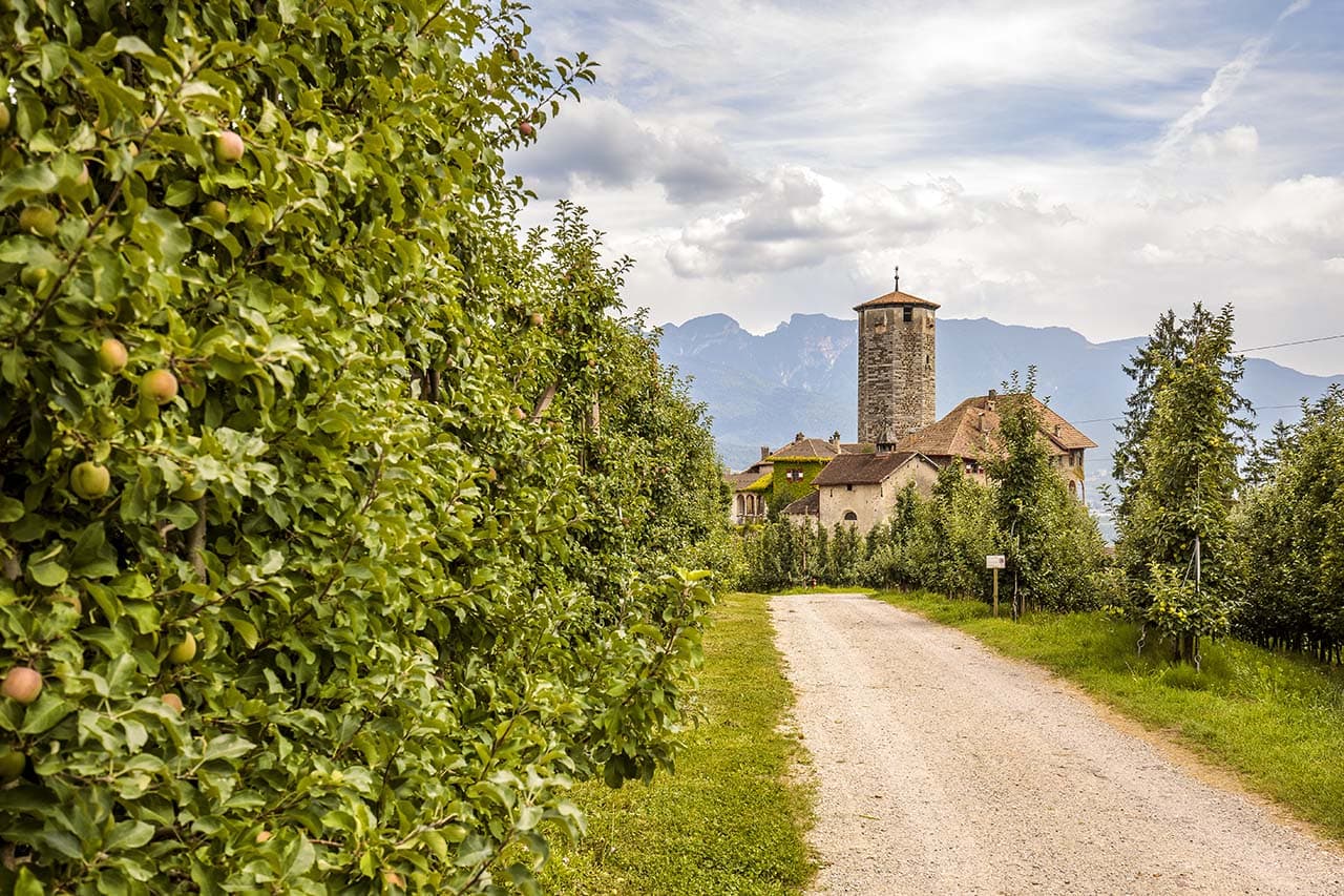 Val di Non: tesori nascosti dell'Italia che resiste