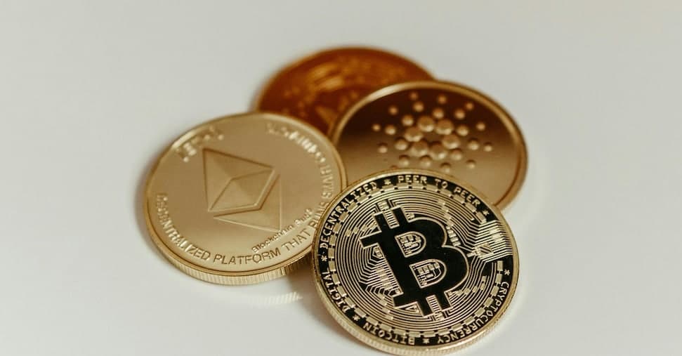 Fisco, guerra totale agli evasori digitali: il governo spia