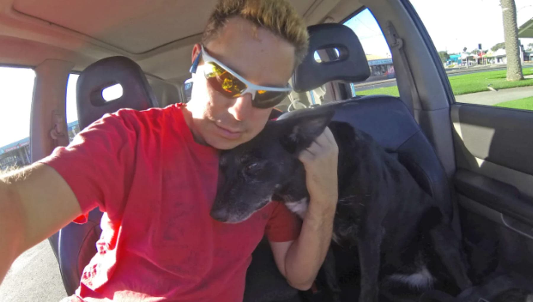 40mila dollari per congelare il cane: la follia woke